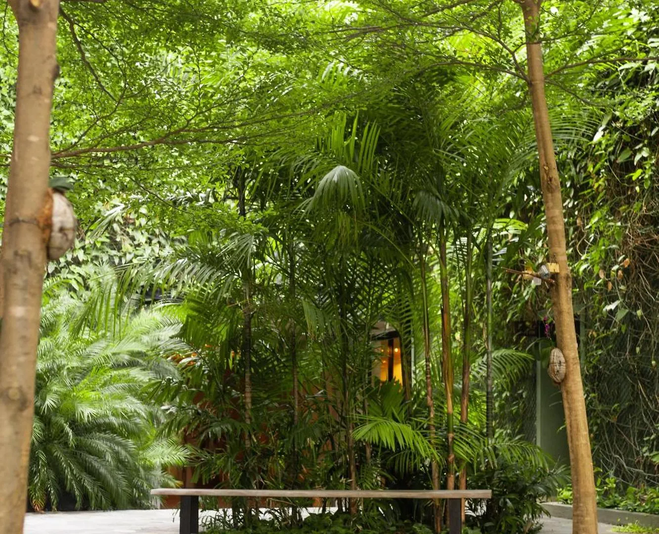 Pauli Boutique Hotel 福塔雷萨